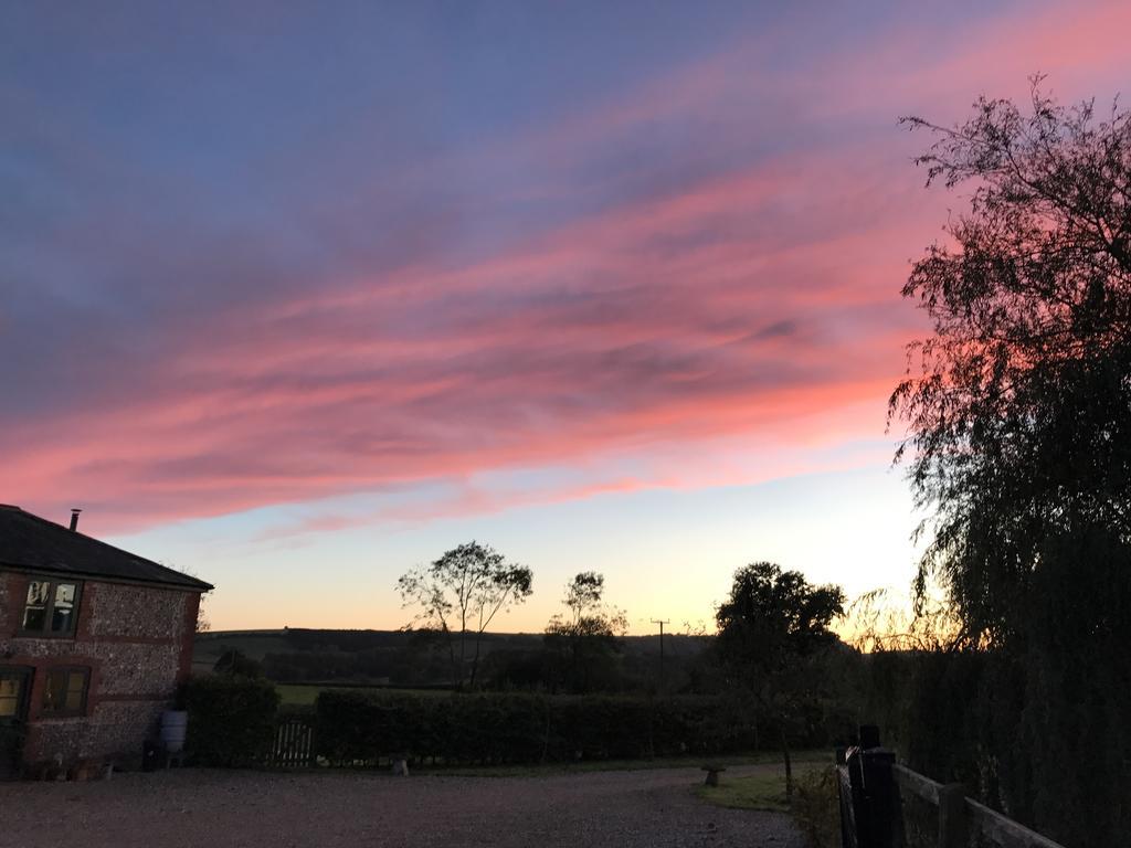 Pleck Barn B&B Ansty  Экстерьер фото